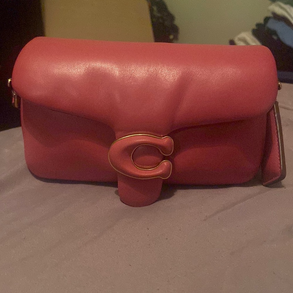 Coach Mini Pillow Tabby